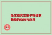 仙芝楼灵芝孢子粉提取物胶的功效与应用