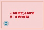 小兰花灵芝(小兰花灵芝：自然的宝藏)