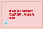 喂鱼吃灵芝粉(喂鱼时添加灵芝粉，增进鱼儿健康)
