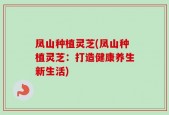 凤山种植灵芝(凤山种植灵芝：打造健康养生新生活)
