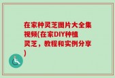 在家种灵芝图片大全集视频(在家DIY种植灵芝，教程和实例分享)