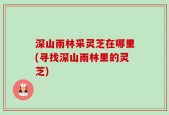 深山雨林采灵芝在哪里(寻找深山雨林里的灵芝)
