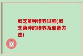 灵芝菌种培养过程(灵芝菌种的培养及制备方法)