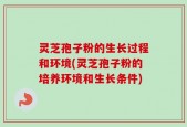 灵芝孢子粉的生长过程和环境(灵芝孢子粉的培养环境和生长条件)