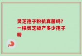 灵芝孢子粉抗真菌吗？一棵灵芝能产多少孢子粉