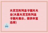 大灵芝陈列盒子图片大全(大量大灵芝陈列盒子图片展示，提供丰富选择)