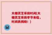大棚灵芝采摘时间(大棚灵芝采摘季节来临，时间表揭晓！)