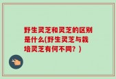 野生灵芝和灵芝的区别是什么(野生灵芝与栽培灵芝有何不同？)