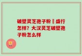 破壁灵芝孢子粉徳盛行怎样？大汉灵芝破壁孢子粉怎么样