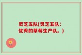 灵芝五队(灵芝五队：优秀的草莓生产队。)