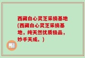 西藏白心灵芝采摘基地(西藏白心灵芝采摘基地，纯天然优质极品，妙手天成。)
