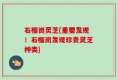 石榴岗灵芝(重要发现！石榴岗发现珍贵灵芝种类)
