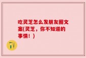 吃灵芝怎么发朋友圈文案(灵芝，你不知道的事情！)