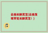 云南长脚灵芝(云南发现罕见长脚灵芝！)