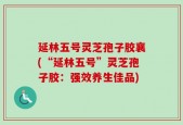 延林五号灵芝孢子胶襄(“延林五号”灵芝孢子胶：强效养生佳品)