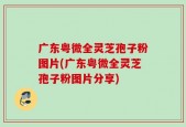 广东粤微全灵芝孢子粉图片(广东粤微全灵芝孢子粉图片分享)