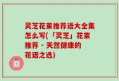 灵芝花束推荐语大全集怎么写(「灵芝」花束推荐 - 天然健康的花语之选)