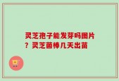灵芝孢子能发芽吗图片？灵芝菌棒几天出苗