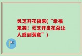 灵芝开花福来(“幸福来袭！灵芝开出花朵让人感到满意”)