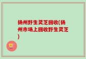 扬州野生灵芝回收(扬州市场上回收野生灵芝)