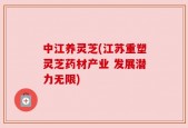 中江养灵芝(江苏重塑灵芝药材产业 发展潜力无限)