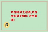 白桦树灵芝泡酒(白桦树与灵芝相伴 泡出美酒)