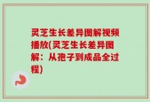 灵芝生长差异图解视频播放(灵芝生长差异图解：从孢子到成品全过程)
