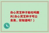 白心灵芝种子能吃吗图片(白心灵芝种子可口食用，你知道吗？)