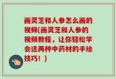 画灵芝和人参怎么画的视频(画灵芝和人参的视频教程，让你轻松学会这两种中药材的手绘技巧！)