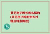 灵芝孢子粉长怎么样的(灵芝孢子粉的生长过程及特点概述)