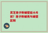 灵芝孢子粉破壁后小片状？孢子粉破壳与破壁区别