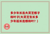 多少年长出大灵芝根子和叶子(大灵芝生长多少年后长出根和叶？)
