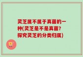 灵芝属不属于真菌的一种(灵芝是不是真菌？探究灵芝的分类归属)