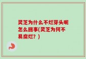 灵芝为什么不烂芽头呢怎么回事(灵芝为何不易腐烂？)