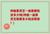 种植黑灵芝一亩需要投资多少钱(种植一亩黑灵芝需要多少投资费用？)