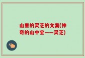 山里的灵芝的文案(神奇的山中宝——灵芝)