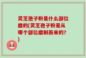 灵芝孢子粉是什么部位磨的(灵芝孢子粉是从哪个部位磨制而来的？)