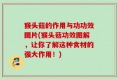 猴头菇的作用与功功效图片(猴头菇功效图解，让你了解这种食材的强大作用！)