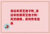 清远市灵芝孢子粉_清远市优质灵芝孢子粉：天然健康，高效养生佳品