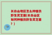 长白山地区怎么种植仿野生灵芝菌(长白山区如何种植仿野生灵芝菌？)