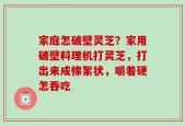 家庭怎破壁灵芝？家用破壁料理机打灵芝，打出来成棉絮状，嚼着硬怎吞吃
