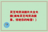 灵芝鸡煲汤图片大全大图(美味灵芝鸡煲汤图集，惊艳你的味蕾！)