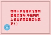 枯树干长得像灵芝样的菌是灵芝吗(干枯的树上长出的菌类是否为灵芝？)