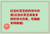 红豆杉灵芝的药效与作用(红豆杉灵芝具有多种药效与作用，可缓解多种疾病)
