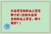 大盆灵芝和野山上灵芝哪个好 (比较大盆灵芝和野山上灵芝，哪个更好？)