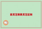 紫灵芝跟黑灵芝区别