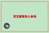 灵芝鹿茸和人参汤