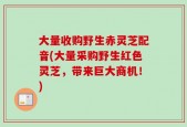 大量收购野生赤灵芝配音(大量采购野生红色灵芝，带来巨大商机！)