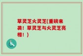 草灵芝火灵芝(重磅来袭！草灵芝与火灵芝亮相！)