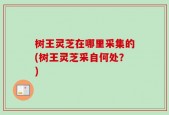 树王灵芝在哪里采集的(树王灵芝采自何处？)